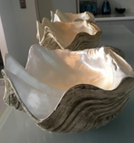 Large 50cm Faux Giant Clam - Natural base with shimmering pearly interior -